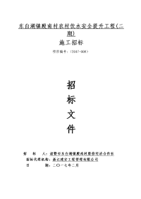 东白湖镇殿南村农村饮水安全提升工程二期