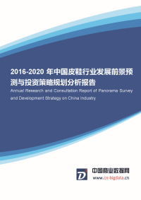 2016-202010年中国皮鞋行业发展前景预测与投资策略规划分析报告.docx