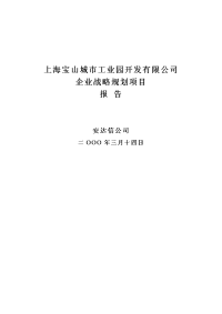 xx城市工业园开发有限公司企业战略规划项目报告