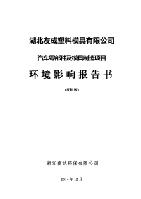 汽车零部件及模具制造项目环境影响报告书