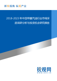 2018-2023年中国甲醇汽油行业市场深度调研分析与投资机会研究报告.docx