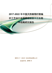 20172022年中国天然植物纤维编织工艺品行业规模现状及十三五竞争战略研究报告.doc