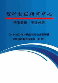 2016-2022年中国皮鞋行业全景调研及投资战略咨询报告.doc