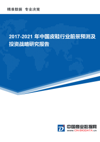 2017-2021年中国皮鞋行业前景预测及投资战略研究报告.docx