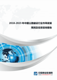 2018-2023年中国公路建设行业市场发展预测及投资咨询报告(目录).docx