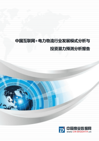 行业分析中国互联网+电力物流行业发展模式分析与投资潜力预测分析报告.docx