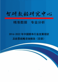 20162022年中国轿车行业发展现状及前景战略咨询报告.doc