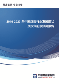 2016-202010年中国煤炭行业发展现状及投资前景预测报告.docx