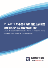 20162020年中国水电设备行业发展前景预测与投资策略规划分析报告.docx