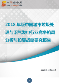 中国城市垃圾处理与沼气发电行业竞争格局分析与投资战略研究报告2018年版.docx