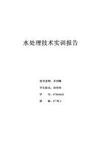 水处理技术实训报告__本科毕业论文.doc