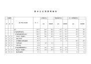 基本支出预算明细表