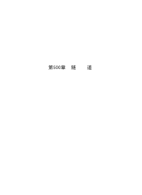 公路工程标准施工招标文件范本(2009年版)-技术规范500章隧道-交公路发[2009]221号自2009年8月1日起施行