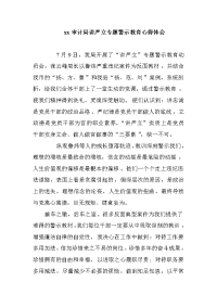 xx审计局讲严立专题警示教育心得体会