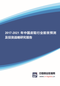 2017-202011年中国皮鞋行业前景预测及投资战略行业趋势研究预测报告.docx