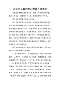 青年党员教师警示教育心得体会