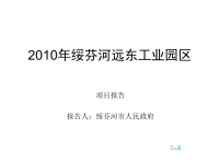 2010年绥芬河远东工业园区项目报告