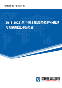 20202018年年-2023年中国全集装箱船行业市场与投资规划分析报告.docx