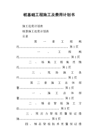 桩基础工程施工及费用计划书