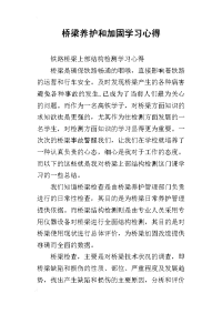 桥梁养护和加固学习心得