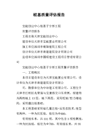 桩基质量评估报告