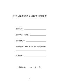 武汉大学专项资金项目支出预算表