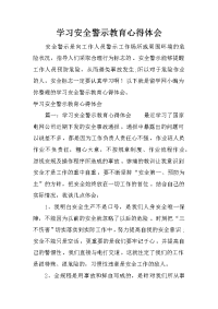 学习安全警示教育心得体会