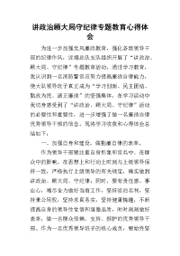 讲政治顾大局守纪律专题教育心得体会