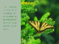 蝴蝶的故事(寓言故事)