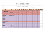 分子公司月度资金预算表