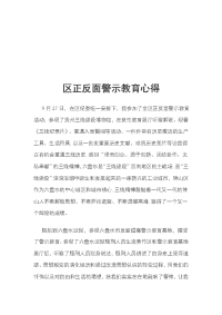 区正反面警示教育心得