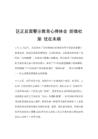 区正反面警示教育心得体会 防微杜渐 忧在未萌