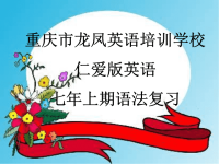 仁爱版七年级英语语法复习
