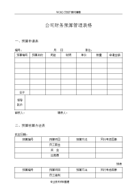 公司财务预算管理表格