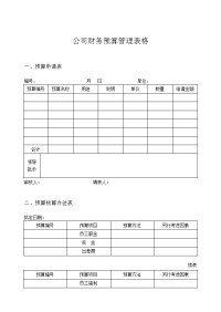 公司财务预算管理表格