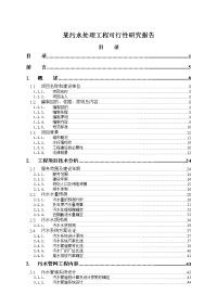 某污水处理工程可行性研究报告