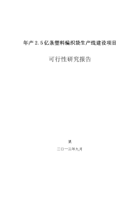 年产2.5亿条塑料编织袋生产线建设项目可行性研究报告