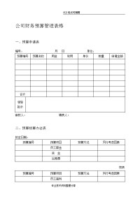 最新公司财务预算管理表格