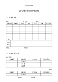 公司财务预算管理表格