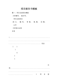 项目报告书模板