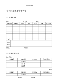 最新公司财务预算管理表格