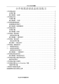 全面小升初英语语法点总结与练习
