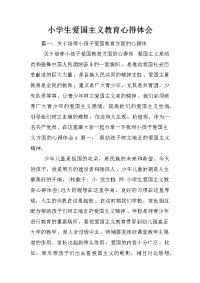 小学生爱国主义教育心得体会