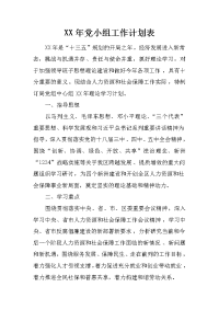 xx年党小组工作计划表