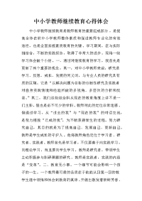 中小学教师继续教育心得体会