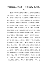 三项教育心得体会--公正执法，执法为民