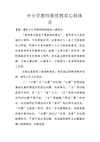 中小学教师继续教育心得体会