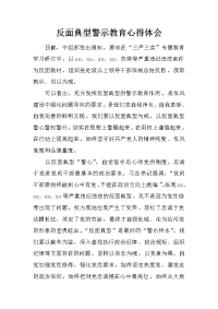 反面典型警示教育心得体会