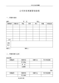 公司财务预算管理表格