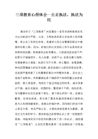 三项教育心得体会--公正执法，执法为民